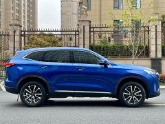Haval H6 Third Generation 1.5T Automatic Two-Wheel Drive Pro - ფოტო 3