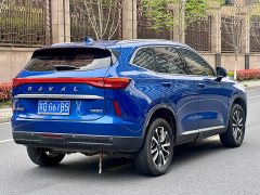 Haval H6 Third Generation 1.5T Automatic Two-Wheel Drive Pro - ფოტო 6