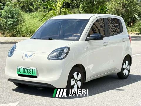 2025 Wuling Hongguang MINIEV Fourth Generation Four-Door Advanced Edition