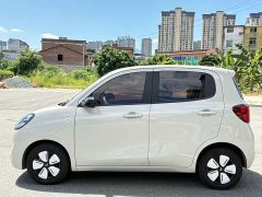 BMW Hongguang MINIEV Fourth Generation Four-Door Advanced Edition - ფოტო 6