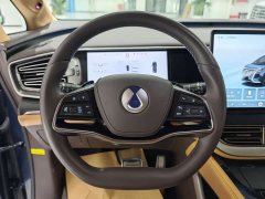 Denza BYD Denza D9 DM-i Smart Drive 1020 Four-Wheel Drive Flagship - ფოტო 9