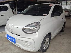 BYD Clever 311km Vitality Pop Edition - ფოტო 1