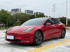 Tesla Model 3 Standard Range RWD Upgrade - ფოტო 1