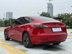 Tesla Model 3 Standard Range RWD Upgrade - ფოტო 12