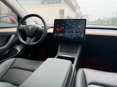 Tesla Model 3 Standard Range RWD Upgrade - ფოტო 6
