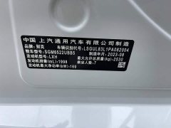 Buick GL8 2023 ES Luxe Comfort - ფოტო 19