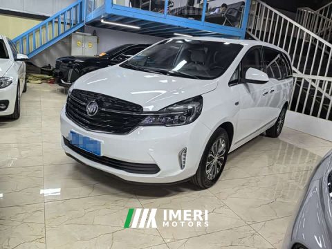 2022 Buick GL8 2021 Land Business Class 652T Luxury - ავტომობილი ჩინეთიდან