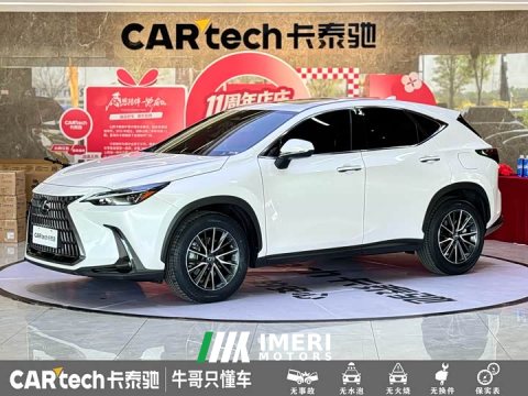 2022 Lexus NX 260 FWD Joyful Edition - ავტომობილი ჩინეთიდან