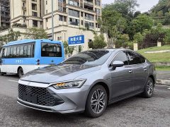 BYD Qin Plus 2021 DM-i 55KM Flagship - ფოტო 1