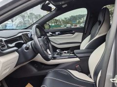 BYD Qin Plus 2021 DM-i 55KM Flagship - ფოტო 7