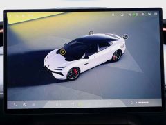 Lotus EMEYA Lotus Premiere Limited Edition - ფოტო 14