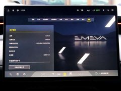 Lotus EMEYA Lotus Premiere Limited Edition - ფოტო 19
