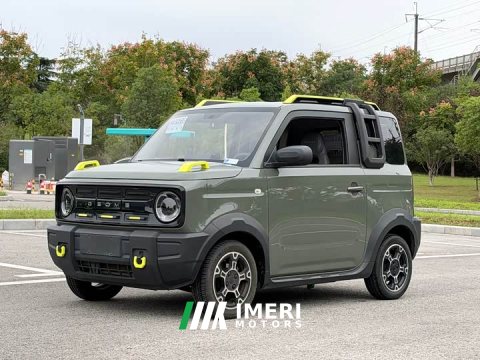 2024 Geely Panda 200km Panda Knight - ავტომობილი ჩინეთიდან