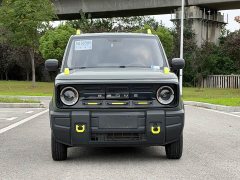 Geely Panda 200km Panda Knight - ფოტო 2