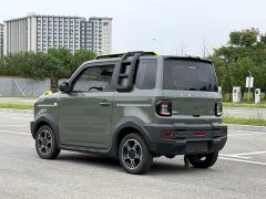 Geely Panda 200km Panda Knight - ფოტო 7