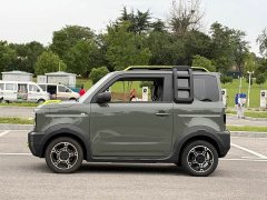 Geely Panda 200km Panda Knight - ფოტო 8