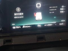 Blue Cat Lanmao M1 Guoxuan Hi-Tech 38.7kWh Starlight Edition - photo 13