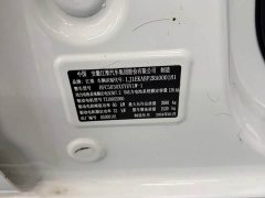 Blue Cat Lanmao M1 Guoxuan Hi-Tech 38.7kWh Starlight Edition - photo 14