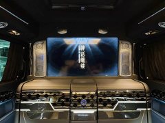 Mercedes-Benz V-Class V 260 L Long Wheelbase Luxury Edition - ფოტო 16