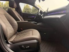 BMW 5 Series 530Li Premier M Sport Package - ფოტო 19