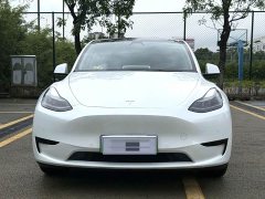 Tesla Model Y Rear-Wheel Drive - ფოტო 2