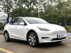 Tesla Model Y Rear-Wheel Drive - ფოტო 6