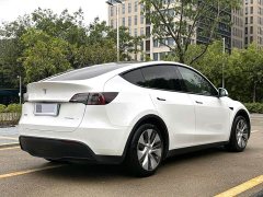 Tesla Model Y Rear-Wheel Drive - ფოტო 7