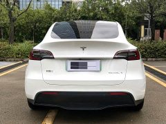 Tesla Model Y Rear-Wheel Drive - ფოტო 8