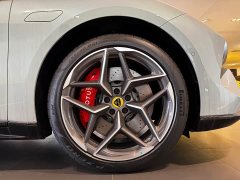 Lotus EMEYA 2025 600 Luxury - ფოტო 13