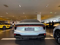 Lotus EMEYA 2025 600 Luxury - ფოტო 4