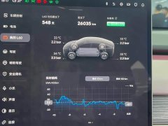 Nio Lerado L60 2024 60kWh Rear-Wheel Drive - ფოტო 10