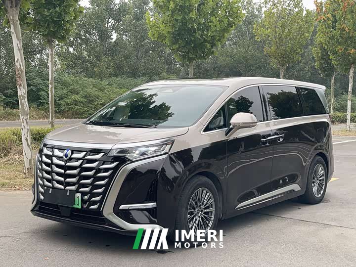 Denza BYD Denza D9 PIONEER Four-Seat Pioneer Edition - ავტომობილი ჩინეთიდან
