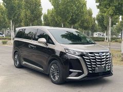 Denza BYD Denza D9 PIONEER Four-Seat Pioneer Edition - ფოტო 3