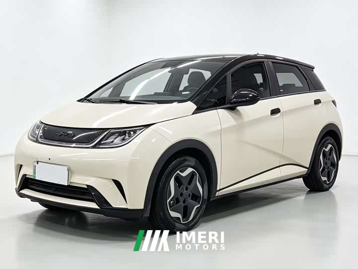BYD Dolphin 405km Fashion Edition - ავტომობილი ჩინეთიდან