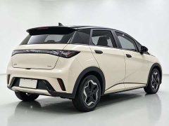 BYD Dolphin 405km Fashion Edition - ფოტო 11