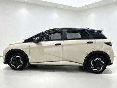 BYD Dolphin 405km Fashion Edition - ფოტო 14