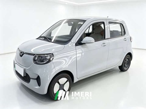 2022 BYD Xiaohoo EV FOR-Four Good Tiger Long Range Ternary Lithium - ავტომობილი ჩინეთიდან