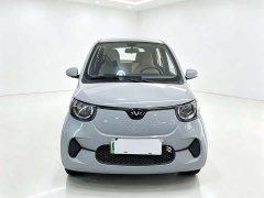 BYD Xiaohoo EV FOR-Four Good Tiger Long Range Ternary Lithium - ფოტო 2