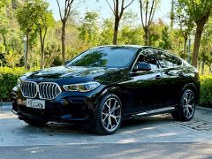 BMW X6 xDrive40i M Sport Premium Package - ფოტო 1