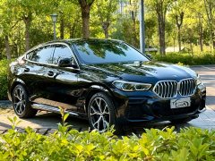 BMW X6 xDrive40i M Sport Premium Package - ფოტო 2