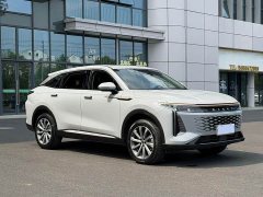 Chery Chitu Yaoguang 400T Two-Wheel Drive Comfort Edition - ფოტო 3