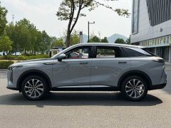 Chery Chitu Yaoguang 400T Two-Wheel Drive Comfort Edition - ფოტო 4