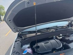 Geely Boyue L 1.5TD DCT Deluxe Edition - ფოტო 16