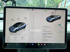 Tesla Model 3 Performance All-Wheel Drive - ფოტო 10