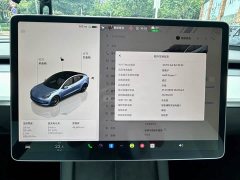 Tesla Model 3 Performance All-Wheel Drive - ფოტო 11