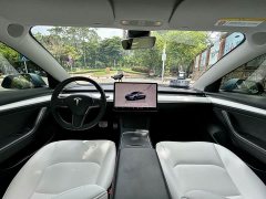 Tesla Model 3 Performance All-Wheel Drive - ფოტო 9
