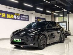Tesla Model Y Rear-Wheel Drive - ფოტო 1