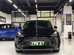 Tesla Model Y Rear-Wheel Drive - ფოტო 2