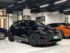 Tesla Model Y Rear-Wheel Drive - ფოტო 3