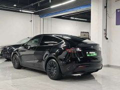 Tesla Model Y Rear-Wheel Drive - ფოტო 9